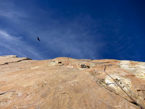 The short section of A1, with a condor flying above. The top of the squeeze chimney can be seen on the left margin of the photo. Photo by Sarah Hart